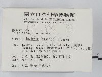 登錄號:F0005695藏品圖，第2張