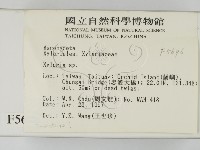 炭角菌屬藏品圖，第2張