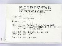登錄號:F0005697藏品圖，第2張