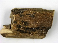 登錄號:F0005697藏品圖，第3張
