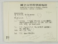 炭角菌屬藏品圖，第2張