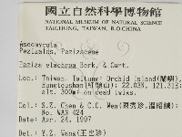 登錄號:F0005702藏品圖，第2張