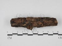 登錄號:F0005702藏品圖，第3張