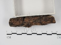 登錄號:F0005702藏品圖，第4張