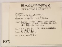 登錄號:F0005704藏品圖，第2張