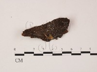 登錄號:F0005704藏品圖，第1張