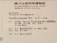 登錄號:F0005710藏品圖，第2張