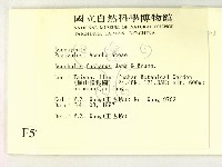 登錄號:F0005711藏品圖，第2張
