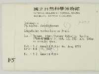 登錄號:F0005713藏品圖，第2張