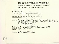 登錄號:F0005716藏品圖，第2張