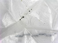 登錄號:F0005716藏品圖，第1張