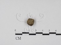 登錄號:F0005718藏品圖，第1張