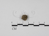 登錄號:F0005718藏品圖，第3張