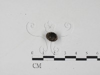 登錄號:F0005723藏品圖，第1張