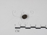 登錄號:F0005723藏品圖，第3張