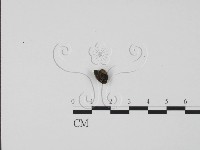 登錄號:F0005725藏品圖，第1張