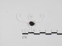 登錄號:F0005725藏品圖，第3張