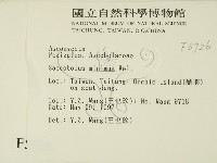登錄號:F0005726藏品圖，第2張