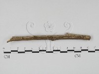 登錄號:F0005727藏品圖，第3張