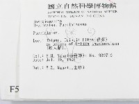 柄銹菌屬藏品圖，第2張