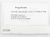登錄號:F0005729藏品圖，第2張