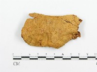 登錄號:F0005729藏品圖，第1張