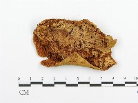 登錄號:F0005729藏品圖，第3張