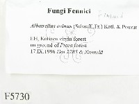 登錄號:F0005730藏品圖，第2張