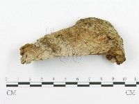 登錄號:F0005730藏品圖，第1張