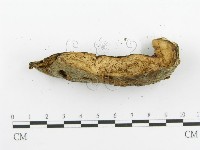 登錄號:F0005730藏品圖，第4張