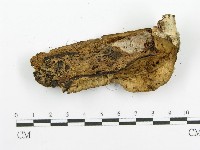 登錄號:F0005730藏品圖，第5張