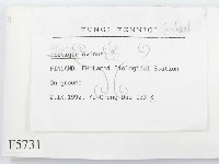 登錄號:F0005731藏品圖，第2張