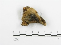 登錄號:F0005731藏品圖，第1張