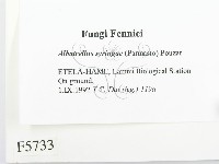 登錄號:F0005733藏品圖，第2張