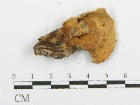登錄號:F0005733藏品圖，第3張