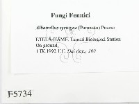 登錄號:F0005734藏品圖，第2張