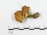 登錄號:F0005734藏品圖，第1張