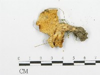 登錄號:F0005734藏品圖，第3張