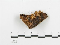 登錄號:F0005735藏品圖，第4張