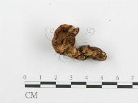 登錄號:F0005735藏品圖，第5張