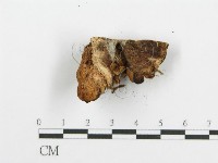 登錄號:F0005735藏品圖，第6張