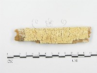 登錄號:F0005736藏品圖，第3張