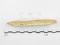 登錄號:F0005736藏品圖，第1張