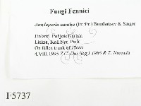 登錄號:F0005737藏品圖，第2張