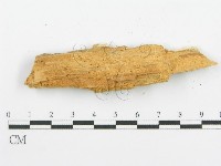 登錄號:F0005737藏品圖，第3張