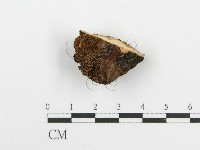 登錄號:F0005738藏品圖，第1張