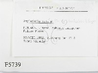 登錄號:F0005739藏品圖，第2張