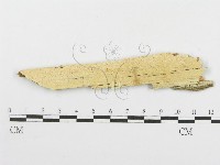 登錄號:F0005739藏品圖，第1張