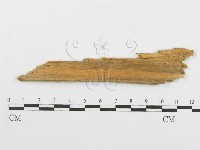 登錄號:F0005739藏品圖，第3張