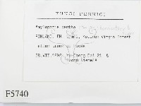 登錄號:F0005740藏品圖，第2張